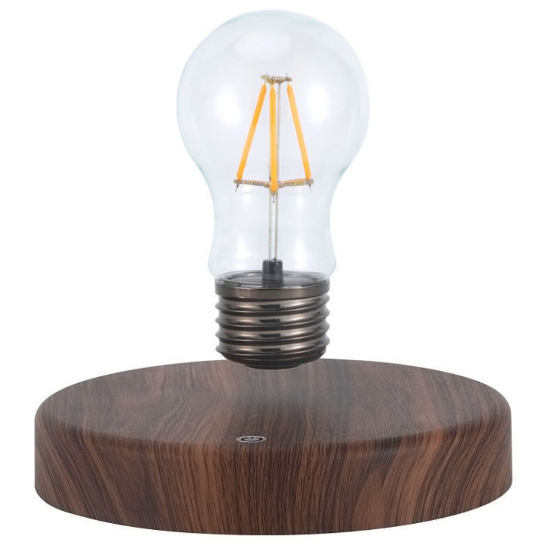 Bulb lamp that levitates and illuminates